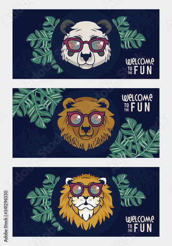 welcome to the fun with animals using glasses