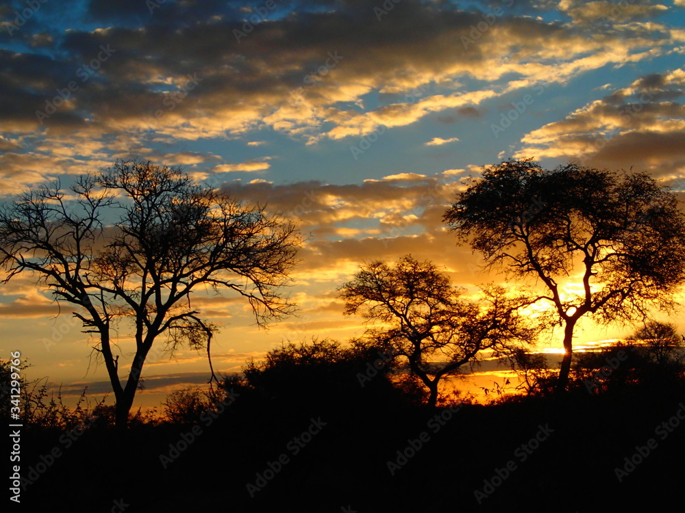 Beautiful Sunset behind some trees