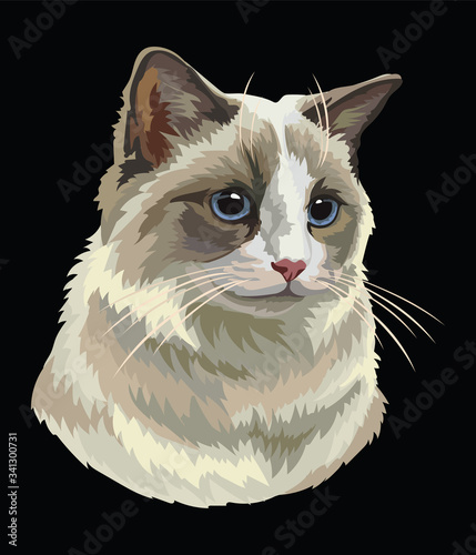 Colorful vector cat 5