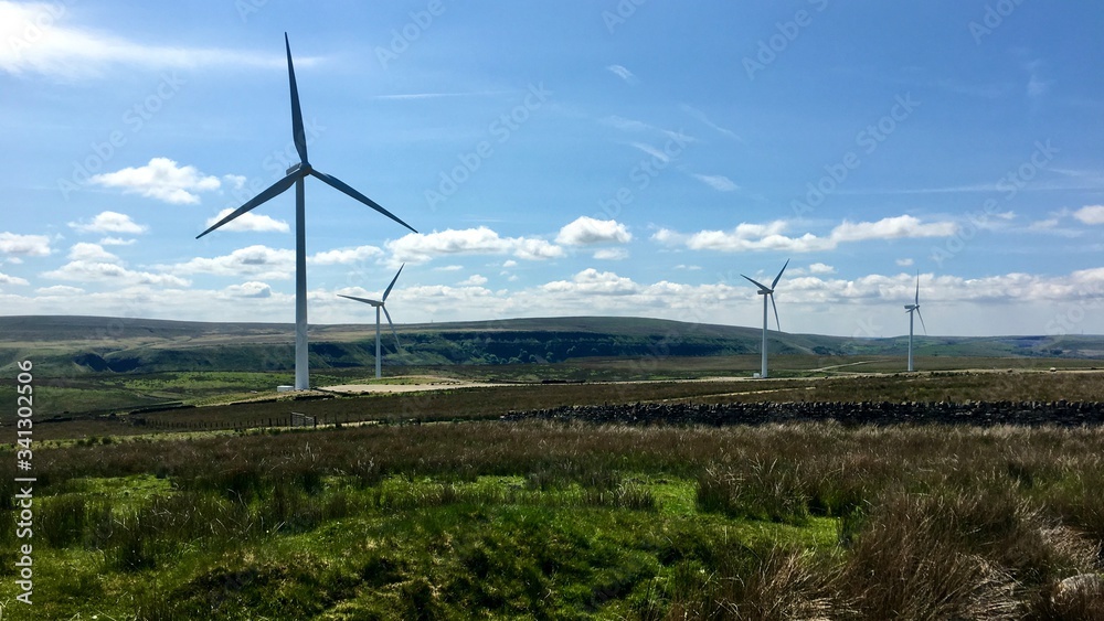 Landscape - countryside - view