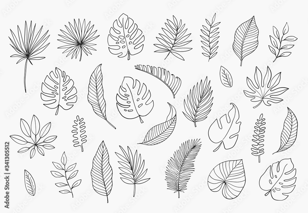 Tropical Leaves in doodle style. Vector hand drawn black line design elements. Exotic summer botanical illustrations. Monstera leaves, palm, banana leaf.