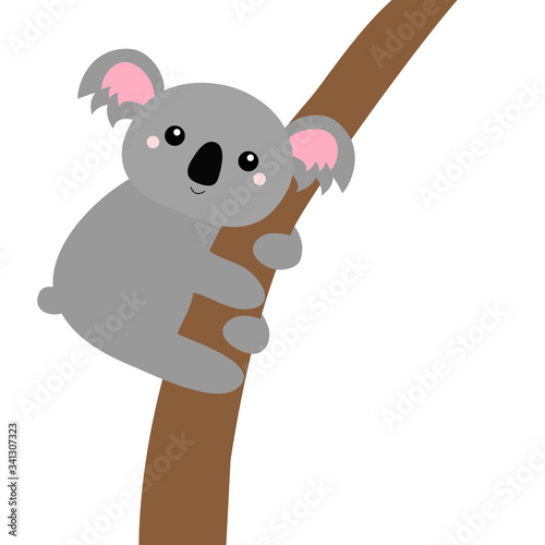 Canvas Print Koala bear hanging on the tree branch