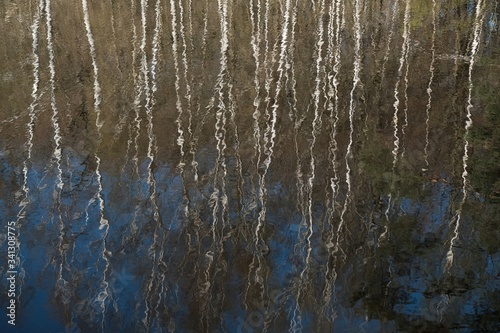 Beautiful reflection of trees in the lake's rippling water.