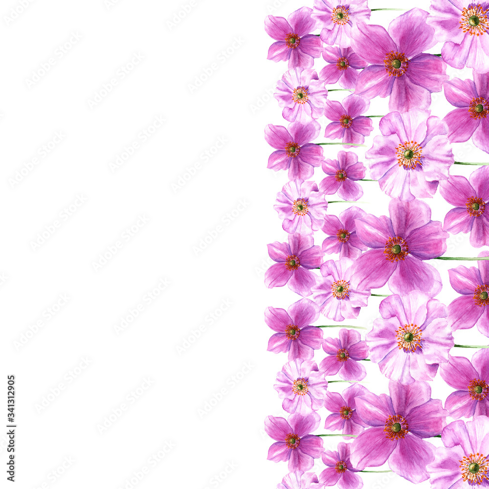 Watercolor border from anemone flowers. Hand drawn flowers isolated on white background. Artistic floral element. Botany illustration