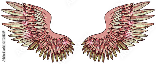 beautiful pastel pink and light green gradient glittery angel wings, vector