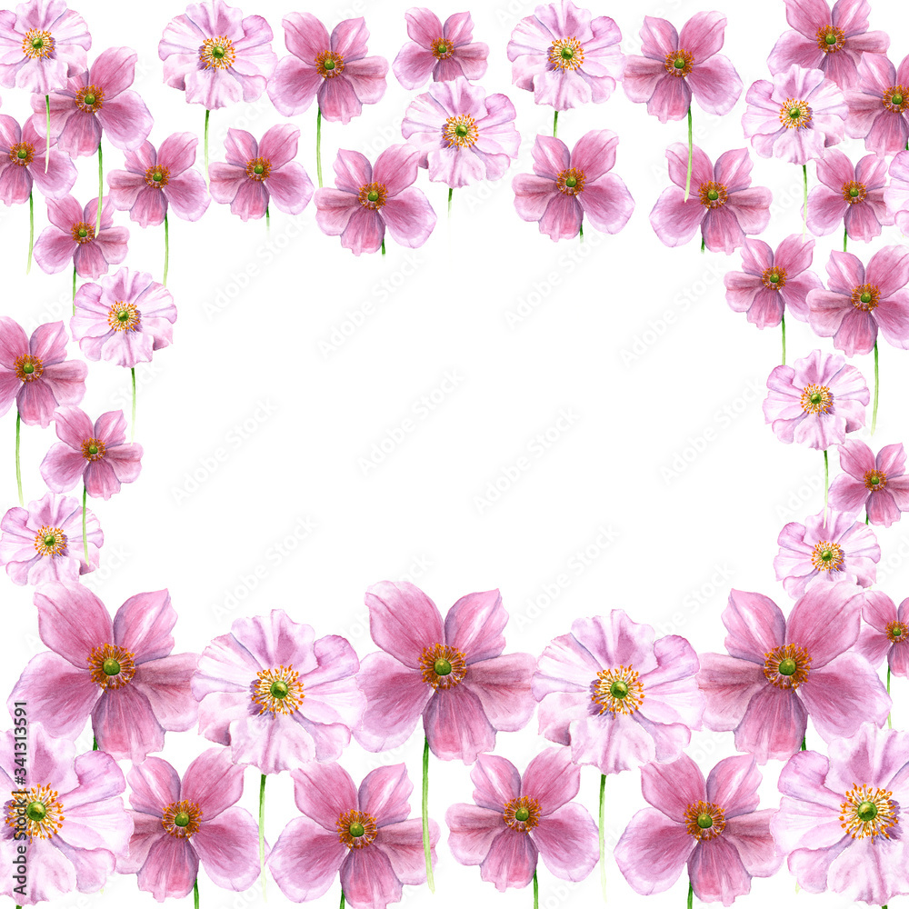 Watercolor frame from anemone flowers. Hand drawn flowers isolated on white background. Artistic floral element. Botany illustration