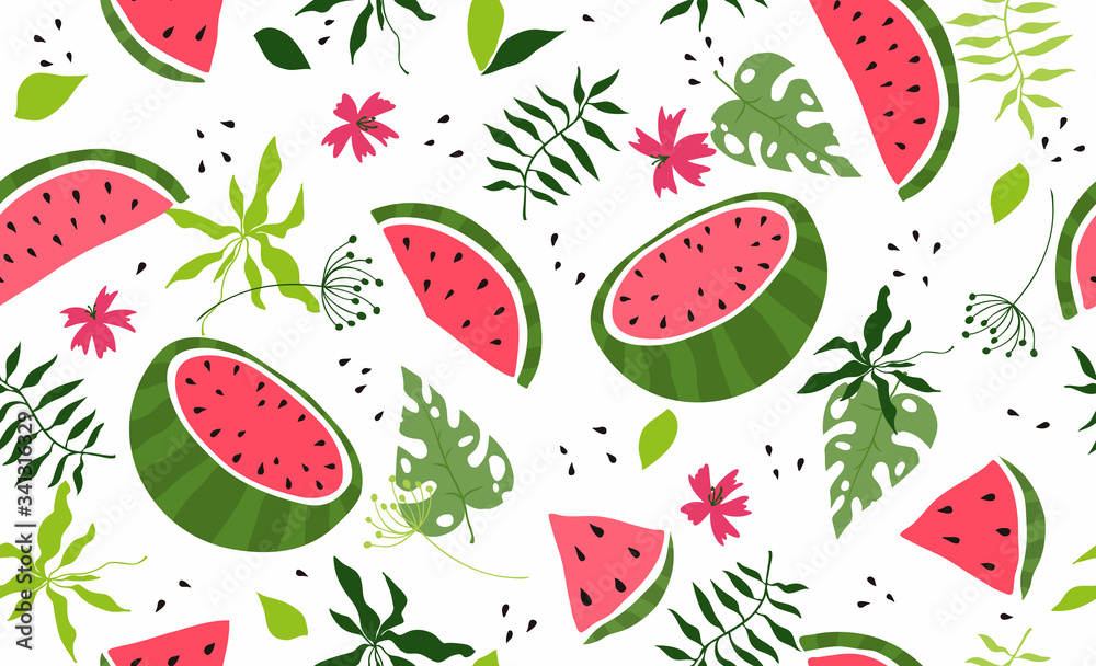 Seamless pattern with watermelon. Vector hand draw watermelon