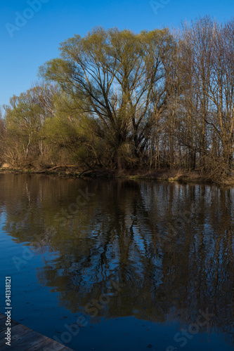 Little Danube river and trees, Slovakia