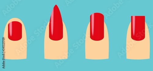 Four nail shapes : oval, square, stiletto, squoval photo