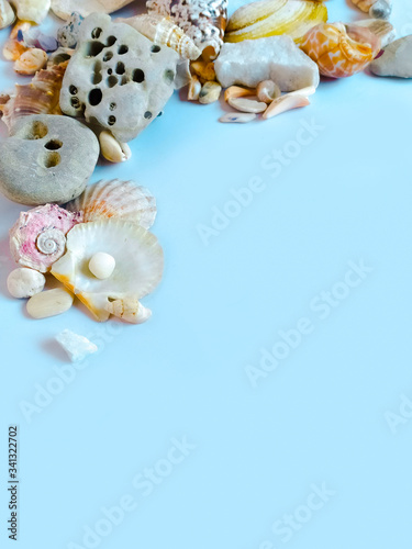 Sea shells and pebbles on a blue background. Summer concept  frame  copy space