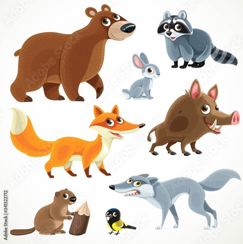 Big collection of wild forest animals fox wolf bear wild boar hare beaver tit raccoon isolated on a white background