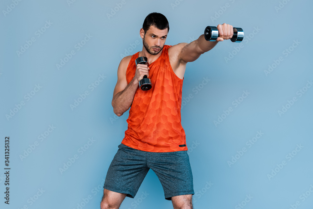 bearded sportsman boxing with dumbbells isolated on blue bearded sportsman boxing with dumbbells isolated on blue
