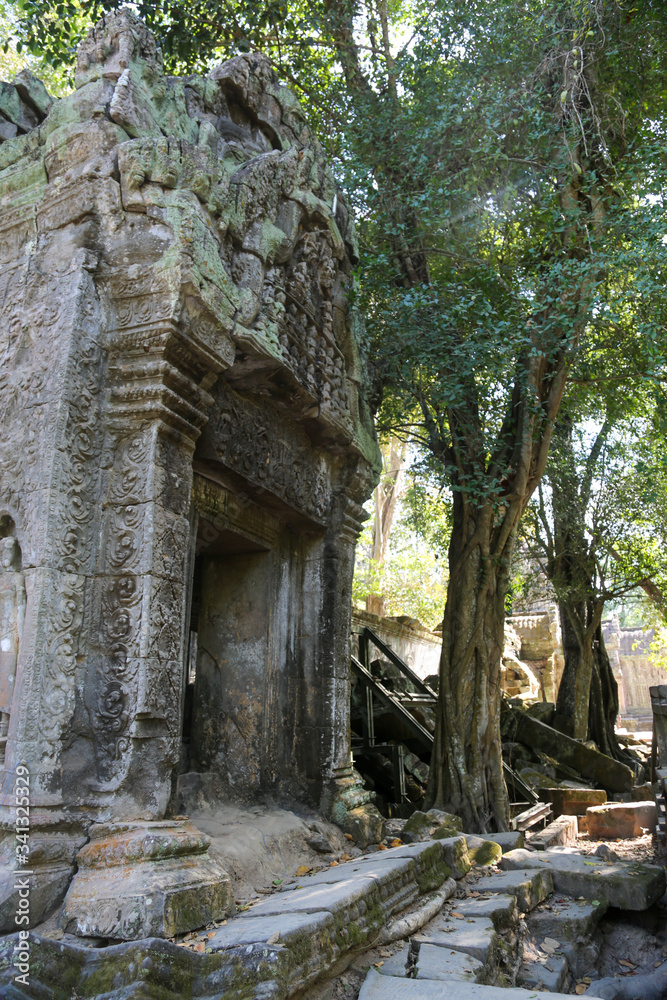 Temple in Jungle
