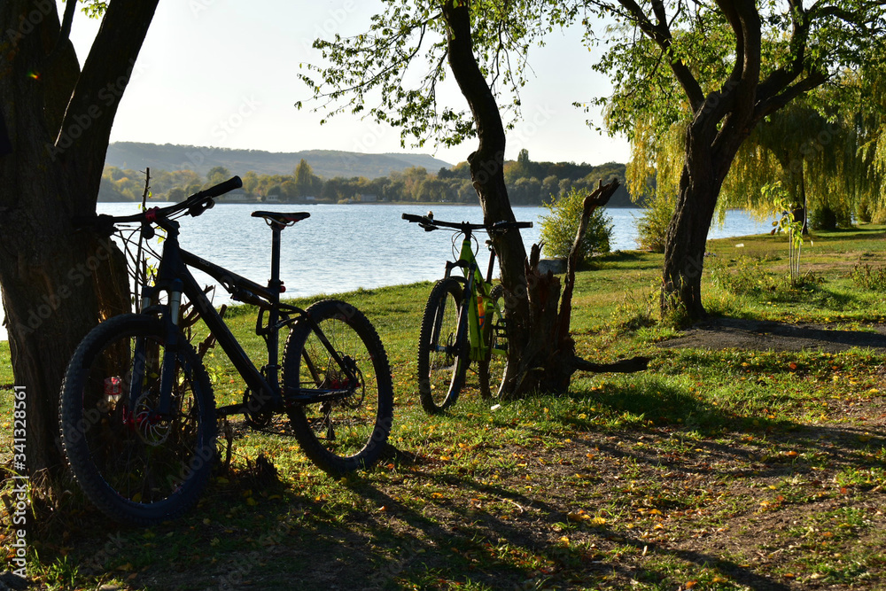 Fototapeta premium bicycle in the park