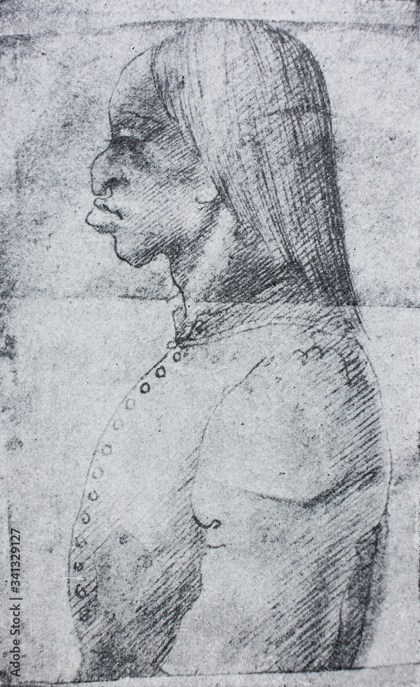 Fototapeta premium The caricature of girl by Leonardo Da Vinci in the vintage book Leonardo da Vinci by A.L. Volynskiy, St. Petersburg, 1899