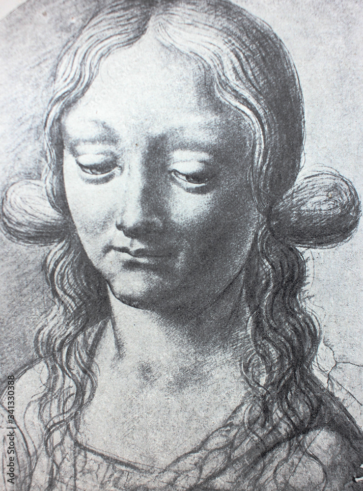 Φωτογραφία The portrait of the young woman by Leonardo da Vinci in the vintage book Leonardo da Vinci by A