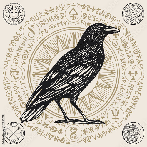 Vector illustration with a wise black Raven or sorcery Crow in retro style. Hand-drawn banner with magic signs, occult symbols and runes written in a circle