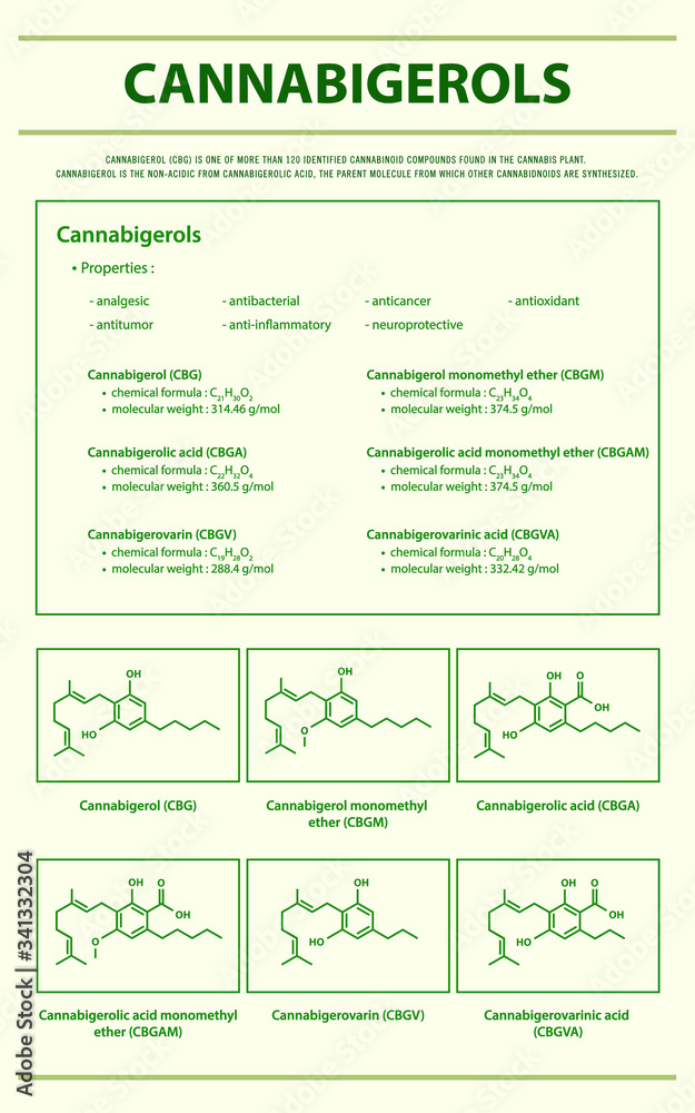 Naklejka premium Cannabigerol CBG with Structural Formulas vertical infographic illustration about cannabis as herbal alternative medicine and chemical therapy, healthcare and medical science vector.
