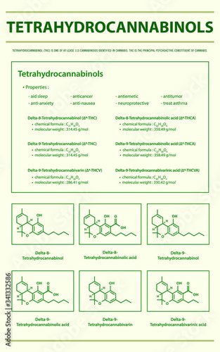 Tetrahydrocannabinol THC with Structural Formulas in Cannabis vertical infographic illustration about cannabis as herbal alternative medicine and chemical therapy, healthcare and medical vector.