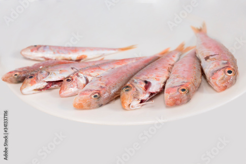 fresh red mullet and clean on a white plate