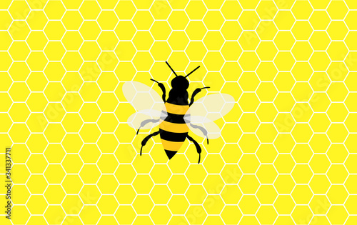 Vector background with honeycomb and bees