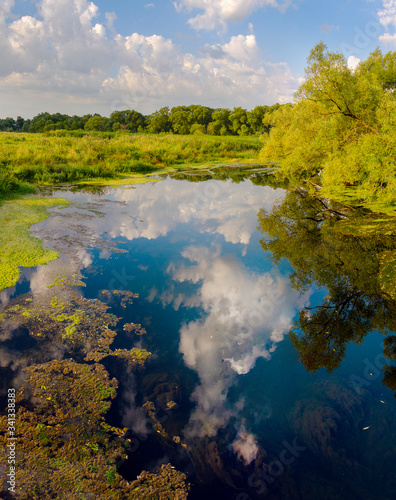Landscape with river and blue sky © valeriy boyarskiy