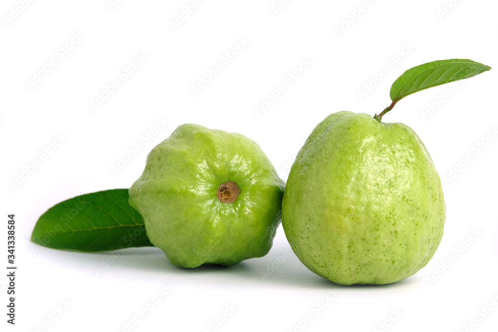 Two green crystal guava fruit with leaves isolated on white background Two green crystal guava fruit with leaves isolated on white background