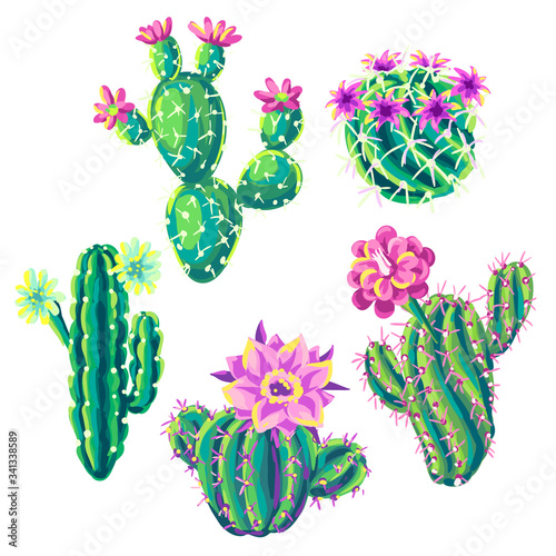 Set of with cacti and flowers.