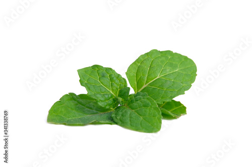 Shoots of mint leaves isolated on white background