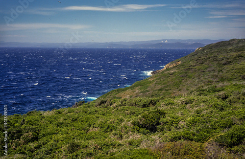Wallpaper Mural Parc national de Port Cros, Ile de Port Cros, Var, 83, îles d'Hyères Torontodigital.ca