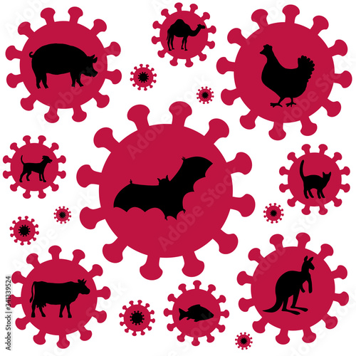 Coronavirus symbol. Pig bird bat flu and other animal influenzas. Comic vector icons, illustration on white background.

