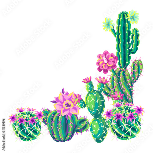 Background with cacti and flowers.