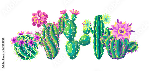 Background with cacti and flowers.