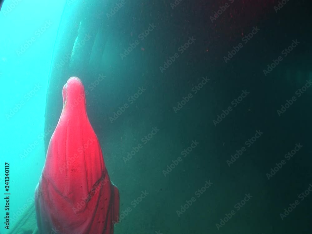 mother Mary statue underwater in an airplane wreck ocean scenery Stock