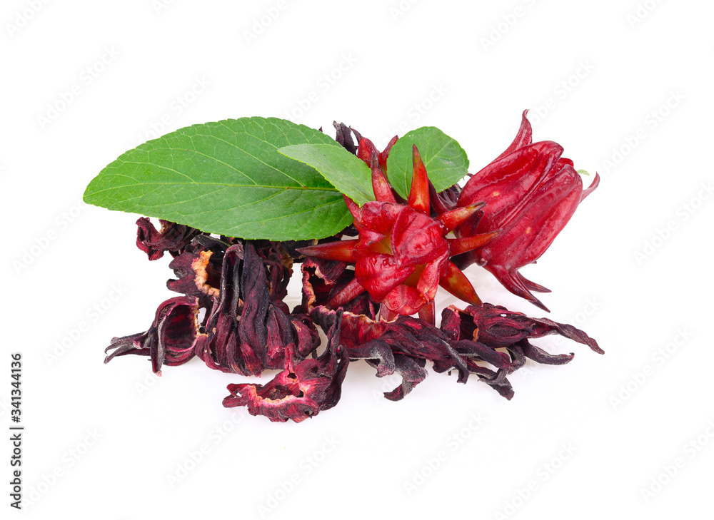 Fototapeta premium Fresh and dried roselle hibiscus on white background