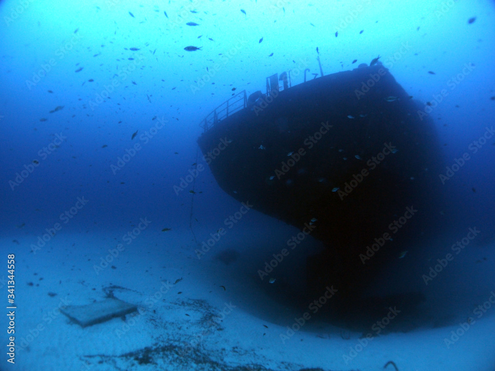 Fototapeta premium Scuba Diving Malta Gozo Comino