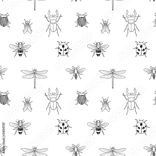 Vector seamless black and white pattern of different hand drawn doodle isolated insects