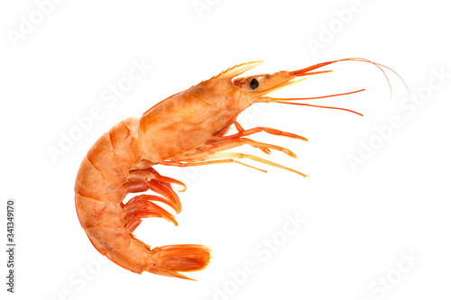 Red raw shrimp isolated on a white background photo