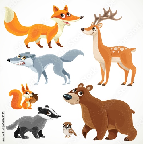 Big collection of wild forest animals bear, badger, fox, wolf, squirrel, sparrow, spotted deer isolated on a white background