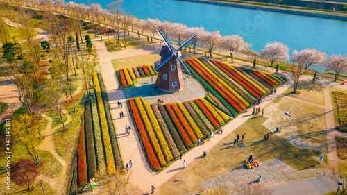 Aerial View of Suncheonman Bay National Garden located in Suncheon city,Jeonnam-do of South Korea photo