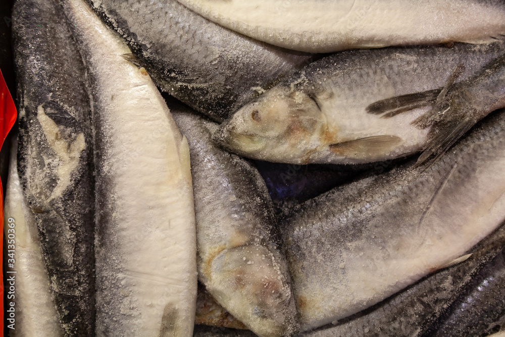 Obraz premium Frozen layered fish