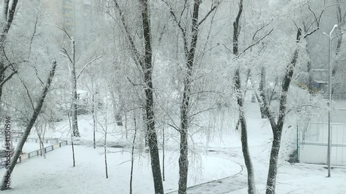 It's snowing in a snowy park