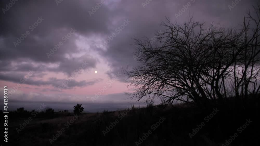 The perfect nightfall The perfect nightfall