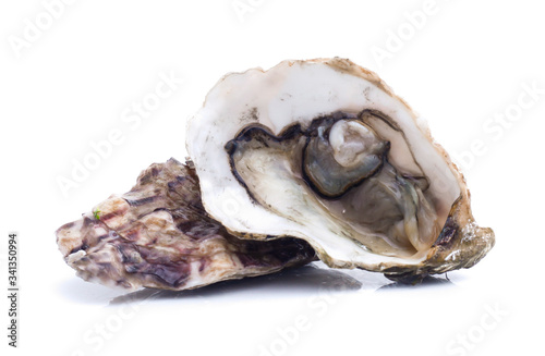 Fresh  oyster on white background