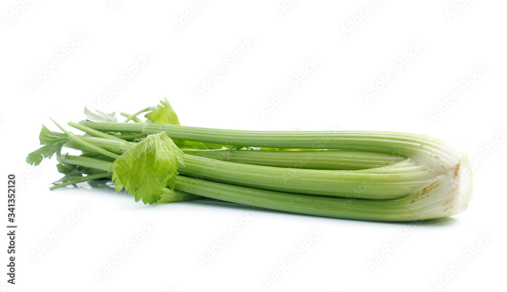 fresh celery isolated on white background fresh celery isolated on white background