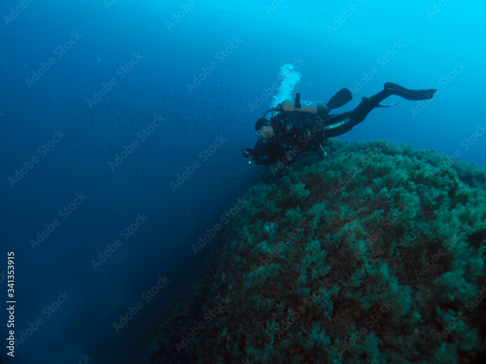 custom made wallpaper toronto digitalScuba Diving Malta Gozo Comino