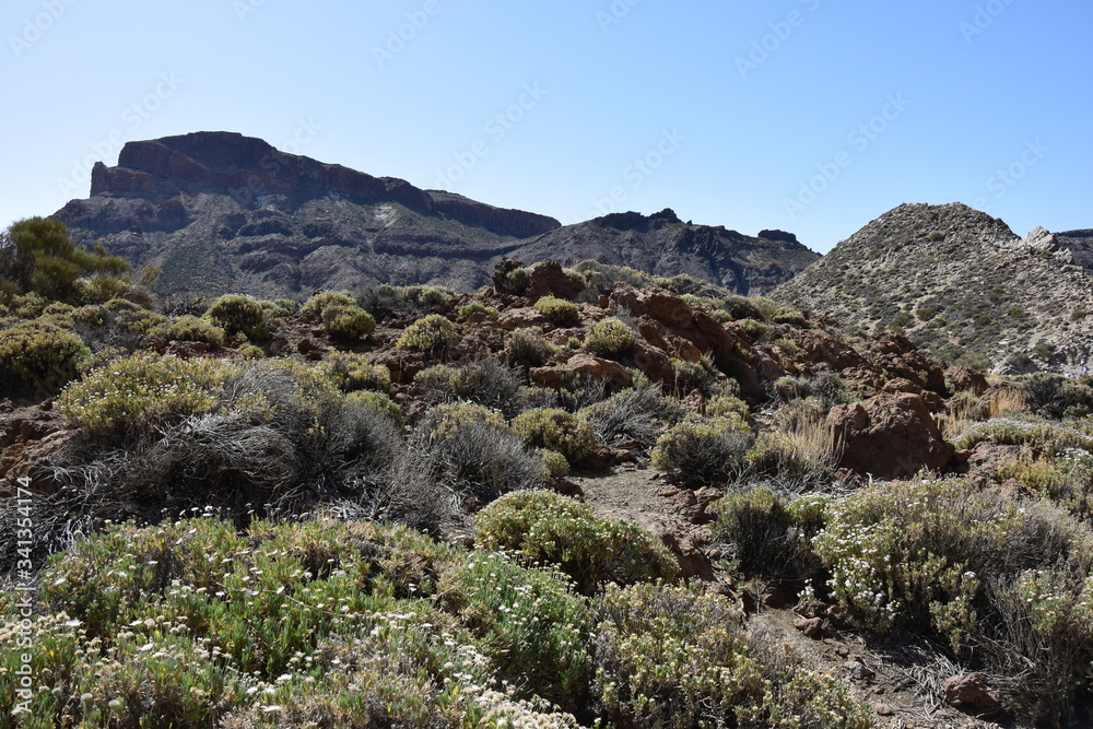 Teneryfa, Wyspy Kanaryjskie, Teide, La Masca