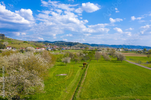 Landscape of the Kinzig valley with a view of Ohlsbach photo