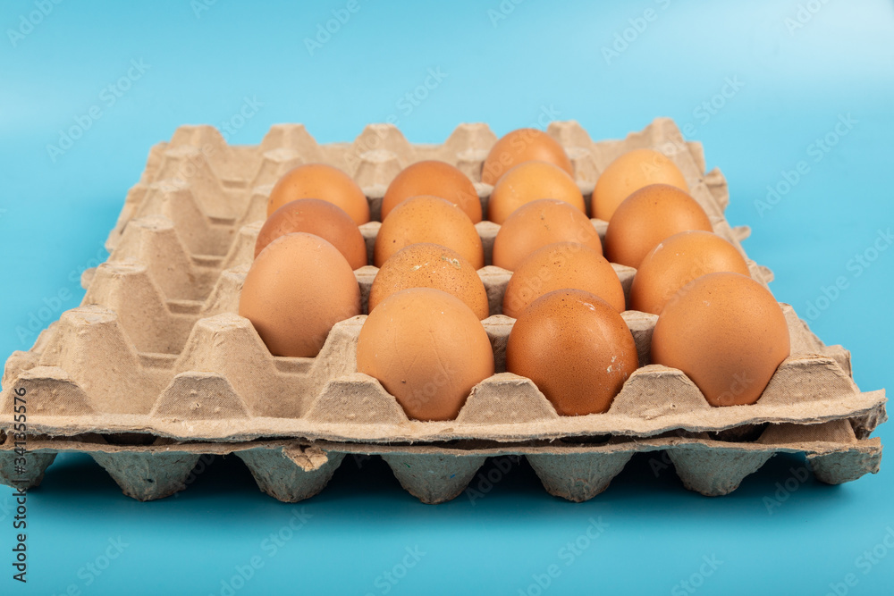 Organic fresh Chicken egg in carton box with blue background Organic fresh Chicken egg in carton box with blue background