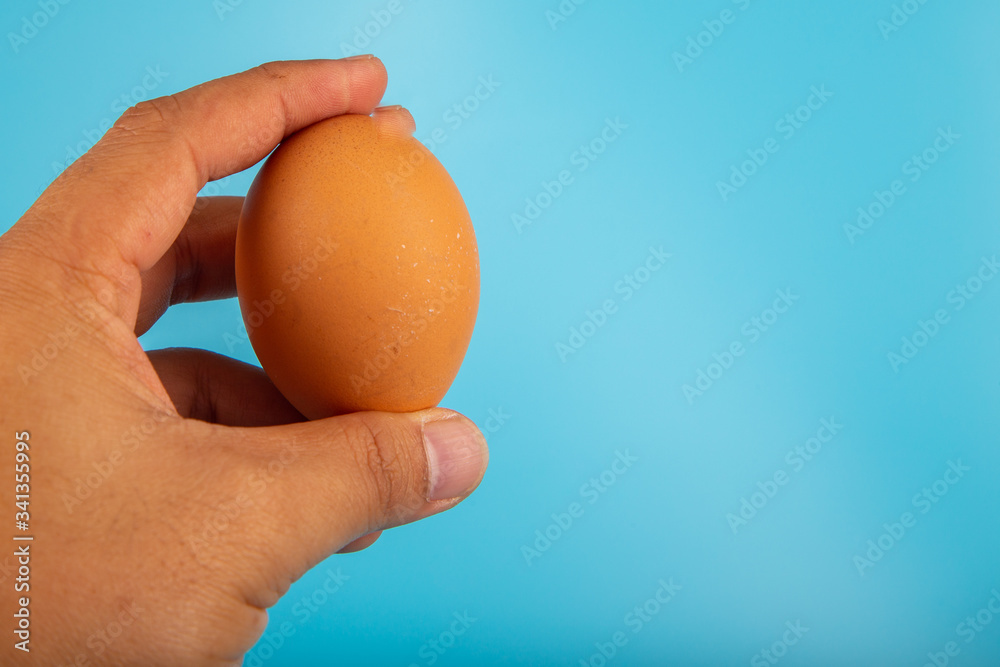 Man hand holding Organic fresh Chicken egg in carton box with blue background Man hand holding Organic fresh Chicken egg in carton box with blue background